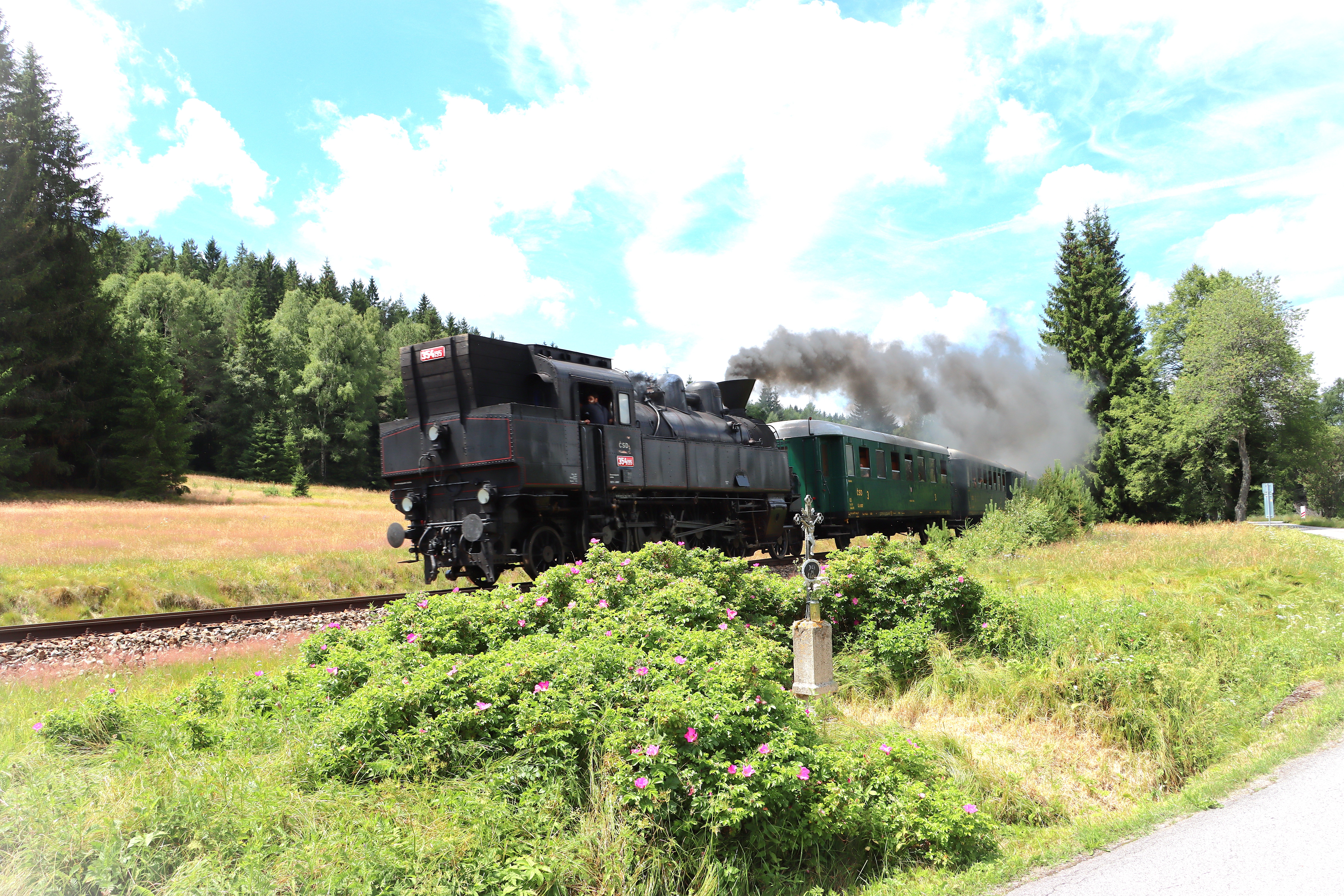 IMG_1700 1